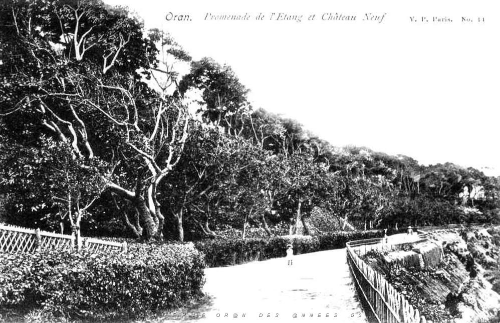 PL b - 049- Promenade de Letang B.jpg